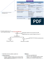 Exploracion Sensibilidad