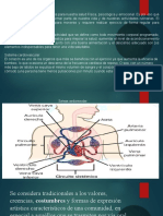 Sistema cardiovascular