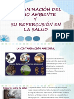 Contaminación Del Medio Ambiente Y Su Repercusión en La Salud