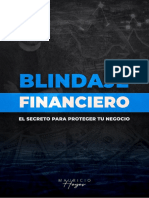 Blindaje Financiero PDF