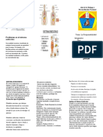 51501686-Triptico Ssitema Endocrino