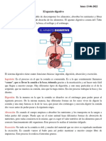 El Aparato Digestivo CIENCIAS NATURALES