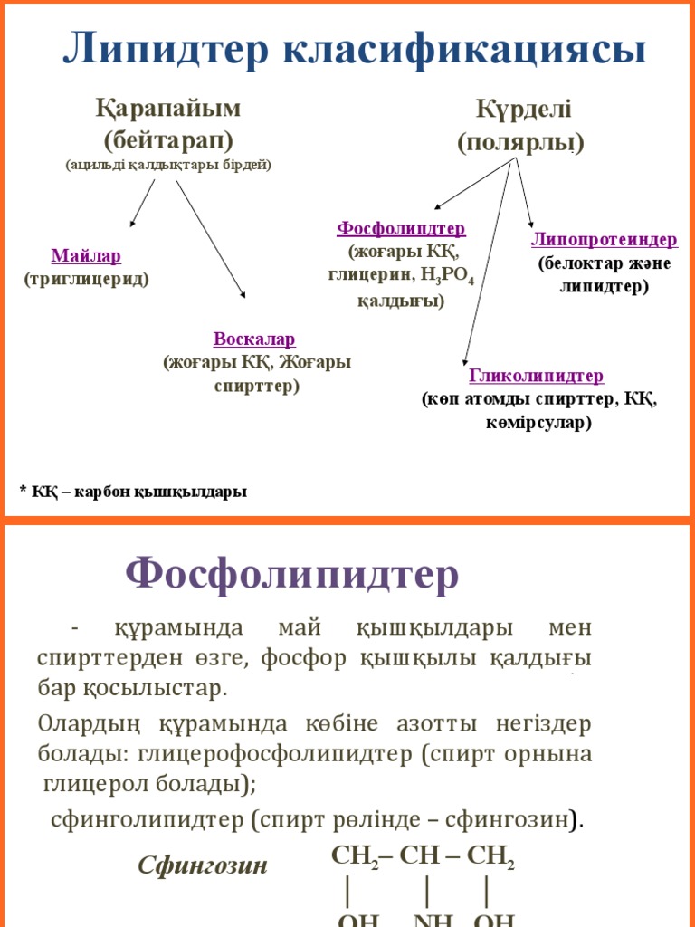 саломас | PDF