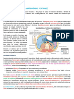 (B) Anatomia Del Peritoneo