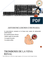 Alteraciones Degenativas, Circulatorias, Inflamatorias y Neoplasias