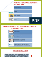 Características Del Sistema Nacional de Pensiones - SNP (Vladimir)