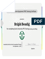 Brigid Bendig: Personal Protective Equipment (PPE) Training Certificate