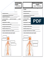 Práctica Calificada de Sistema Nervioso 6TO