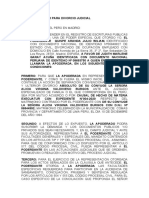 Mod-Poder-Divorcio-Judicial - Docx Madrid Wiliam Quispe..Docx II