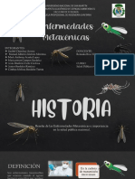 Enfermedades transmitidas por vectores: causas, síntomas y prevención