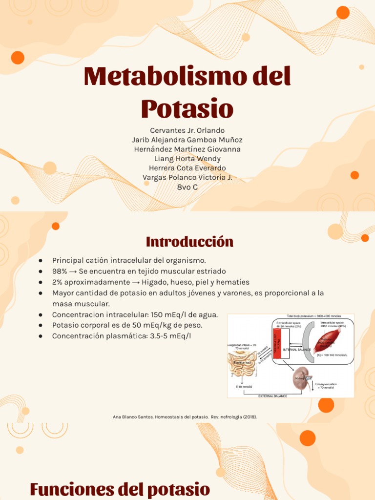 Funciones y Metabolismo del Potasio | PDF | Potasio | Química