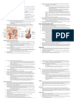 Anatomy of The Endocrine System 1