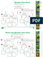 Plants Classification Flow Chart