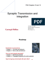 Synaptic Transmission and Integration