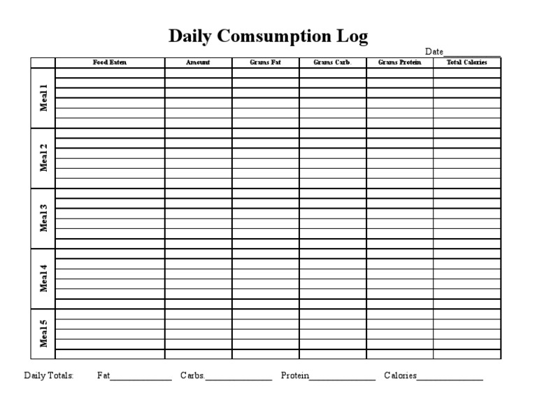 Daily On Log | PDF