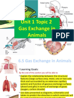 Unit 1 Topic 2 Gas Exchange in Animals 2022