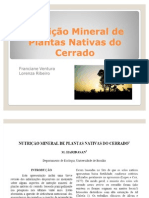 Nutrição Mineral de Plantas Nativas do Cerrado