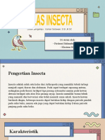 Kelas Insecta