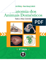 Anatomia Dos Animais DOMESTICOS