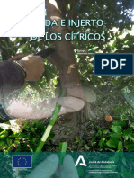 Poda e Injerto Citricos Manual IFAPA Mayo2021