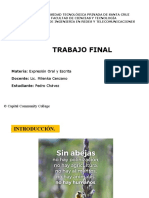 Ejemplo Diapositivas Trabajo Final