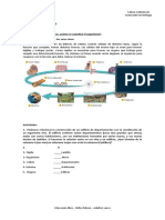 Semana 2 Cuarto