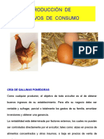 Curso Producción Huevos de Consumo