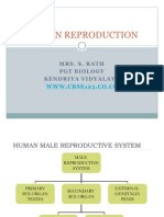 Human Reproduction Systems