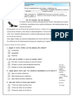 Evaluación 2do Periodo - Comprension Lectora 2°