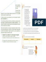 La Leyenda de Yurupary PDF