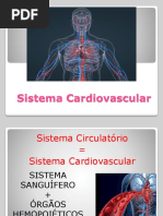 sistema cardio