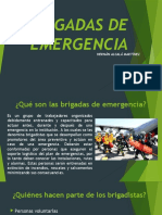 Brigadas emergencia roles funciones