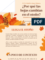 ¿Por Qué Las Hojas Cambian de Color en El Otoño - D.H.A.