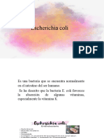 Presentacion de E-Coli