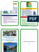 DIPTICO Cuidado Del Medio Ambiente