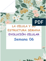 EVOLUCION CELULAR 1 Semana 6