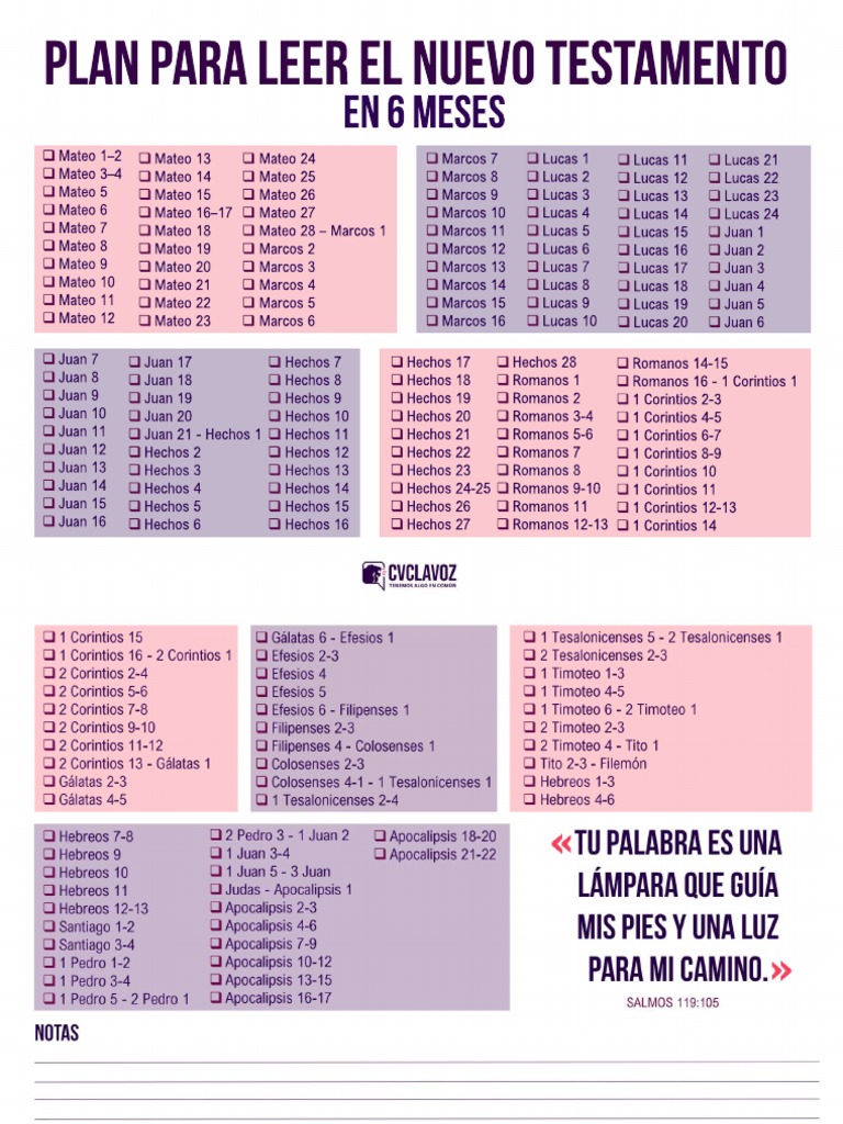 Plan Lectura Nuevo Testamento 6 Meses | PDF