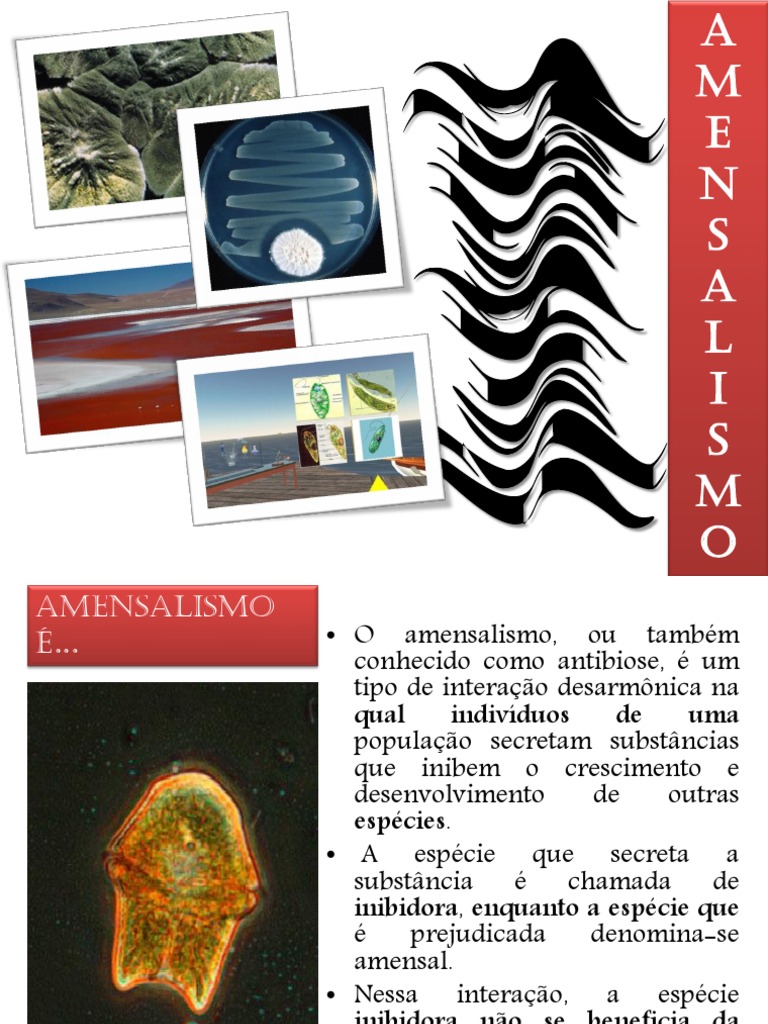 Exemplos de Amensalismo na Natureza | PDF | Plantas | Biologia