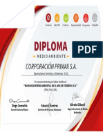 Diploma Primax