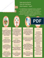 Competencias Ciudadanas 