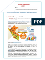 DPCC 4° Prueba Diagnostica