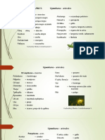 16° Sesión - Vocabulario 