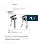 Fracturas Del Humero