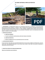 Aspectos de Perfil de Proyecto-1