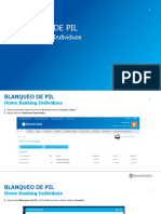 Instructivo Blanqueo de PIL-sin SFA