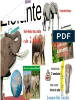 Infografia Elefante Leonardo