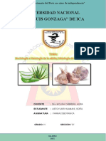 Informe Ajo y Sabila