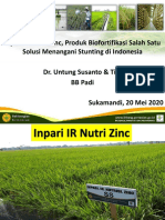 Inpari IR Nutri Zinc Mengatasi Stunting