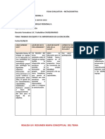 Ficha Evaluativa Metag