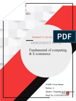Fundamental of Computing & E-Commerce: Assignment No: 02